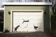 Why Your Garage Door Opener Is Struggling to Lift the Door